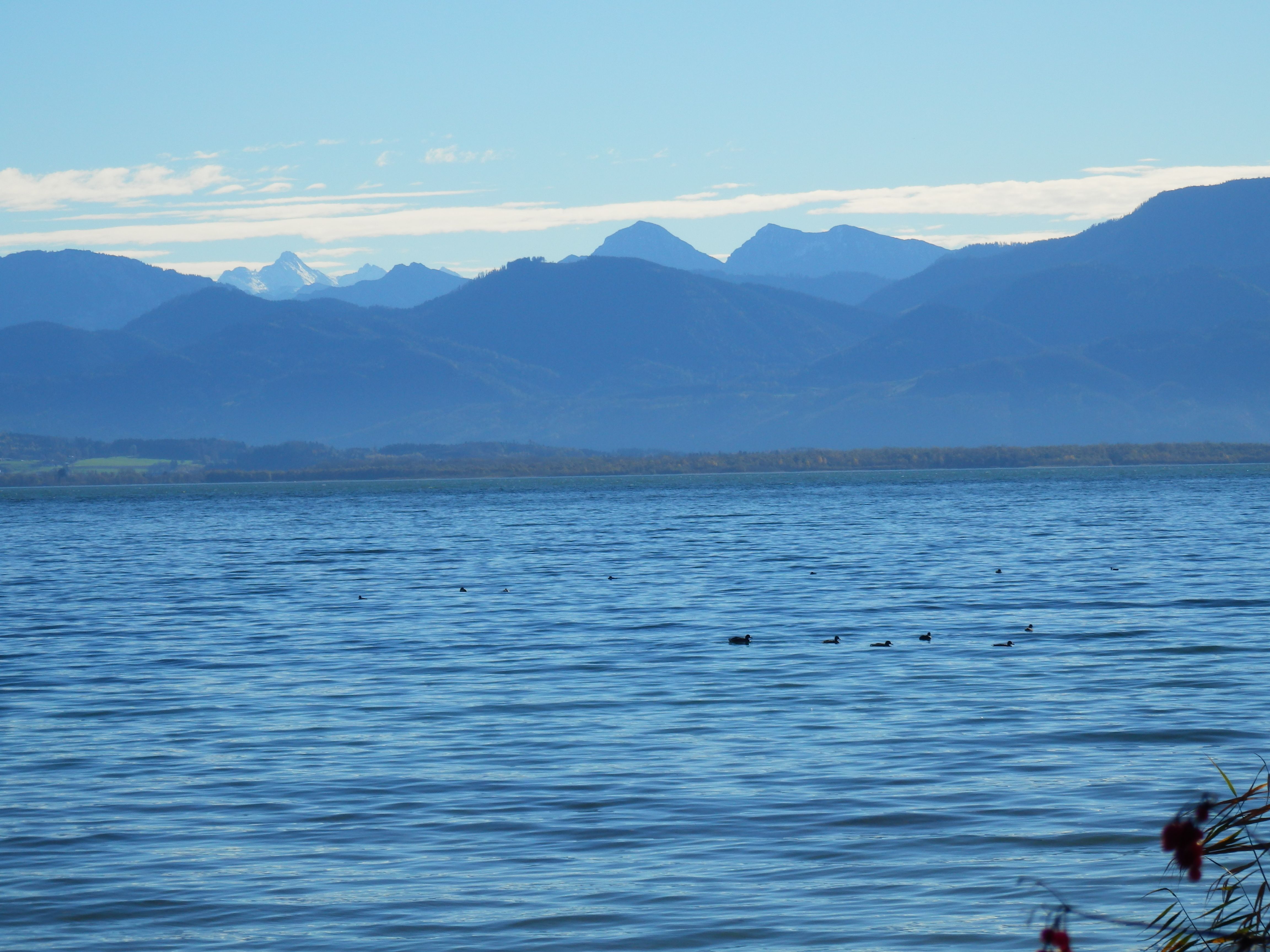 am_chiemsee_mit_hochkalter.jpg