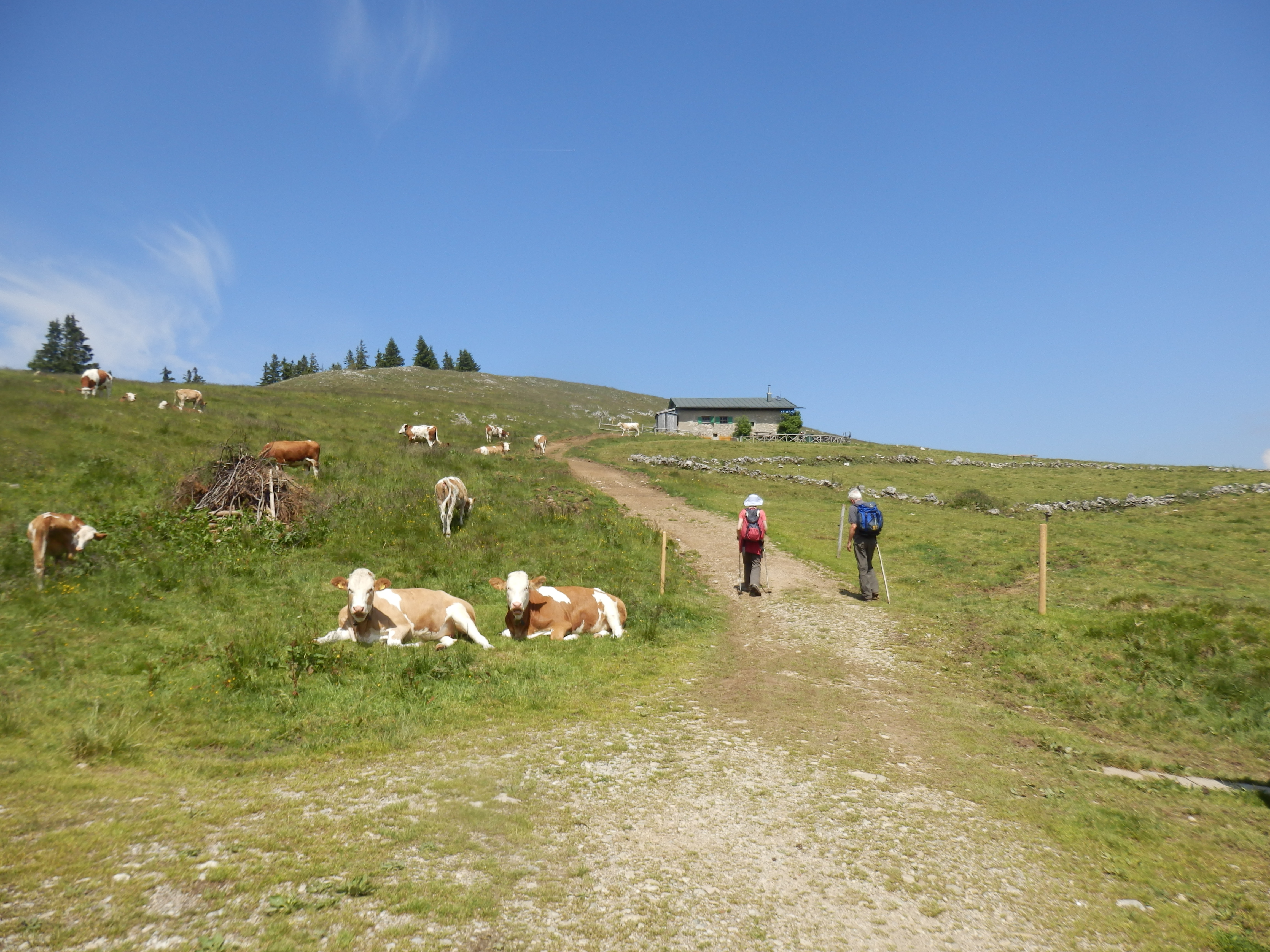 klausenkamm_laubensteinalm.jpg