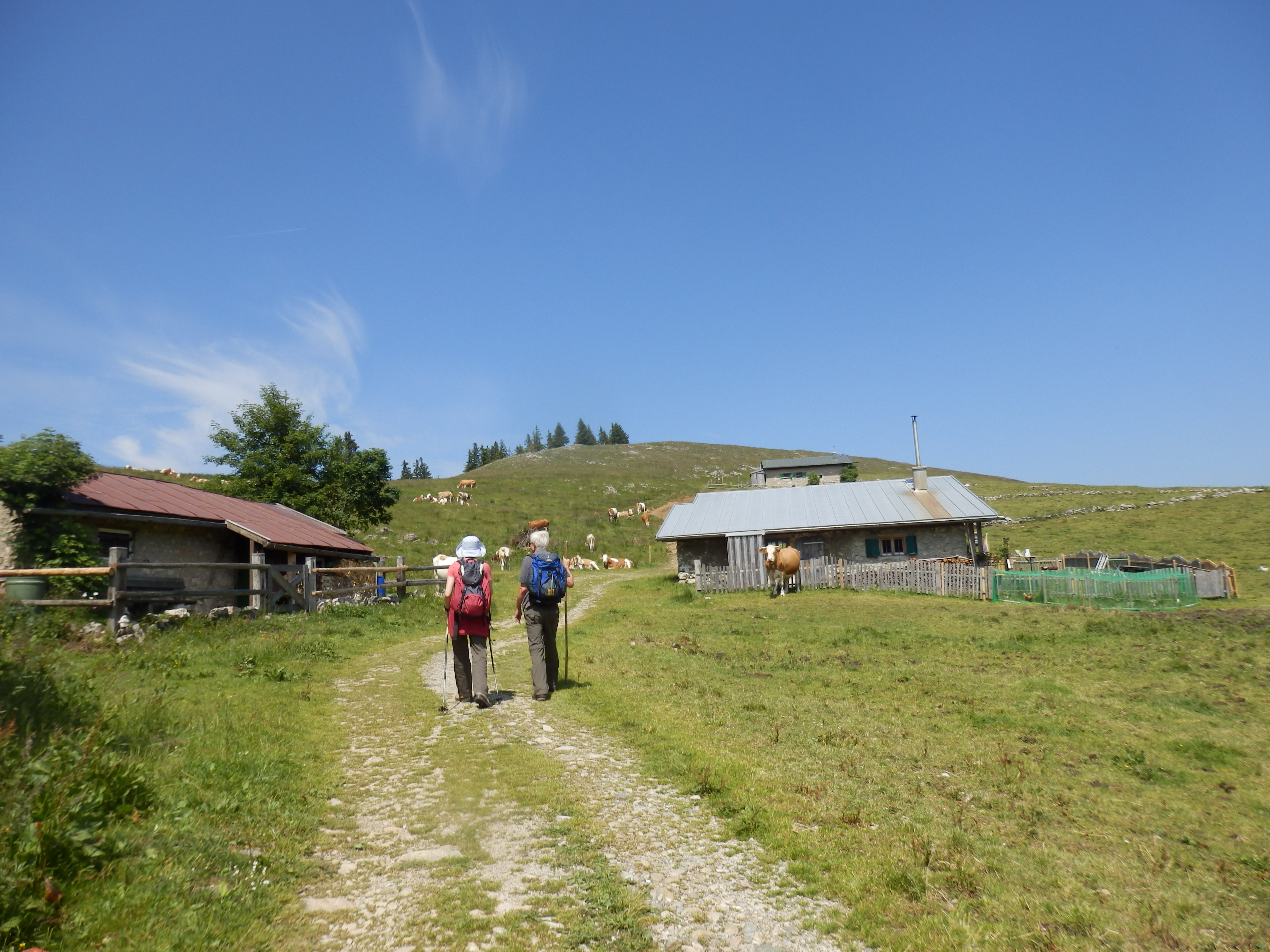 laubensteinalm.jpg