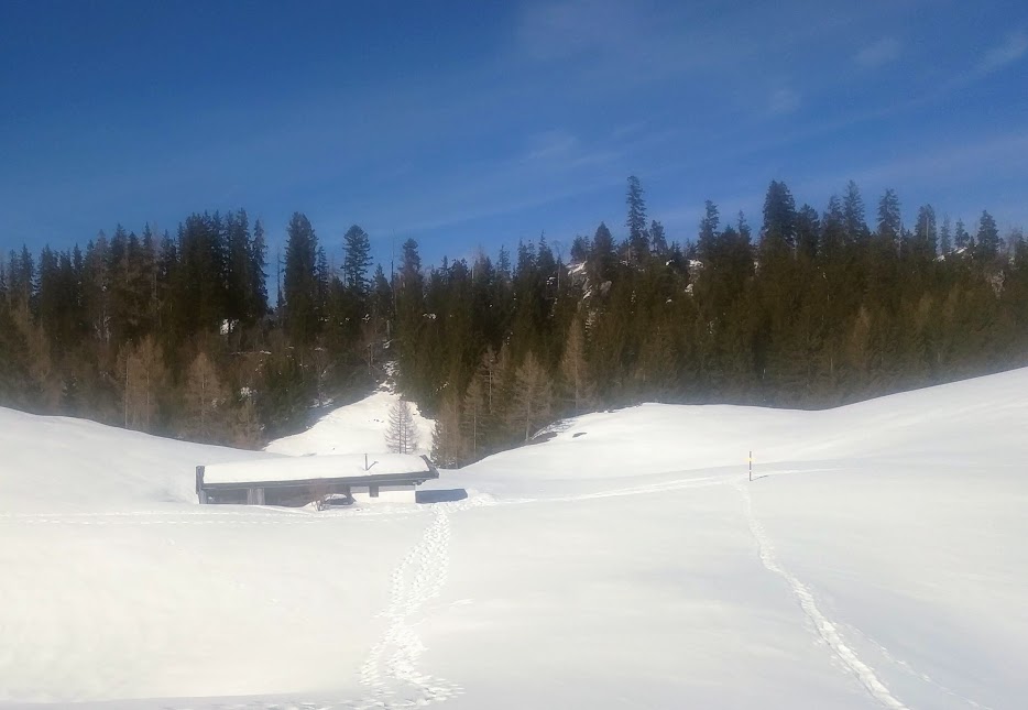 die Sauermöseralm