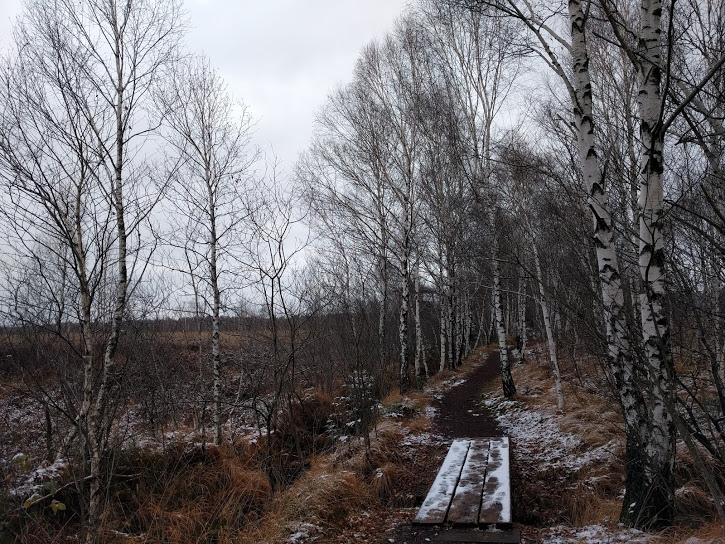 November im Kendlmühlfilz