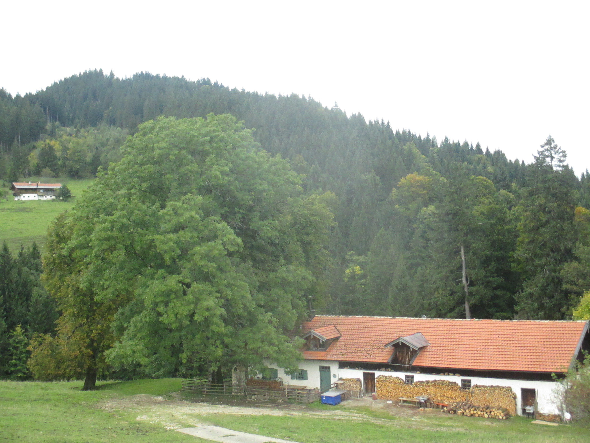 die Schmiedalm, hinten links die Winterstubn