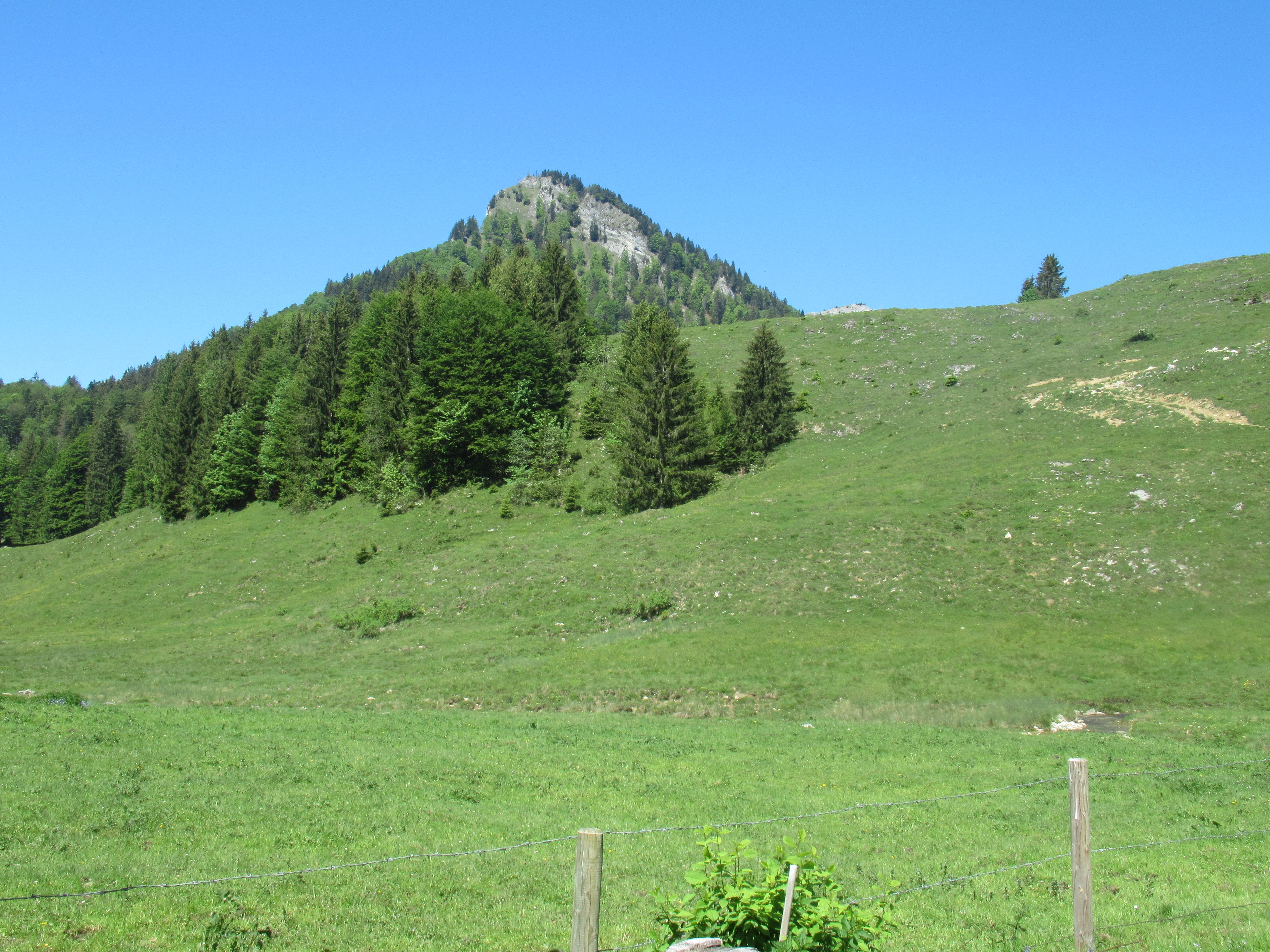 Blick von der Euzenau zum Kitzstein