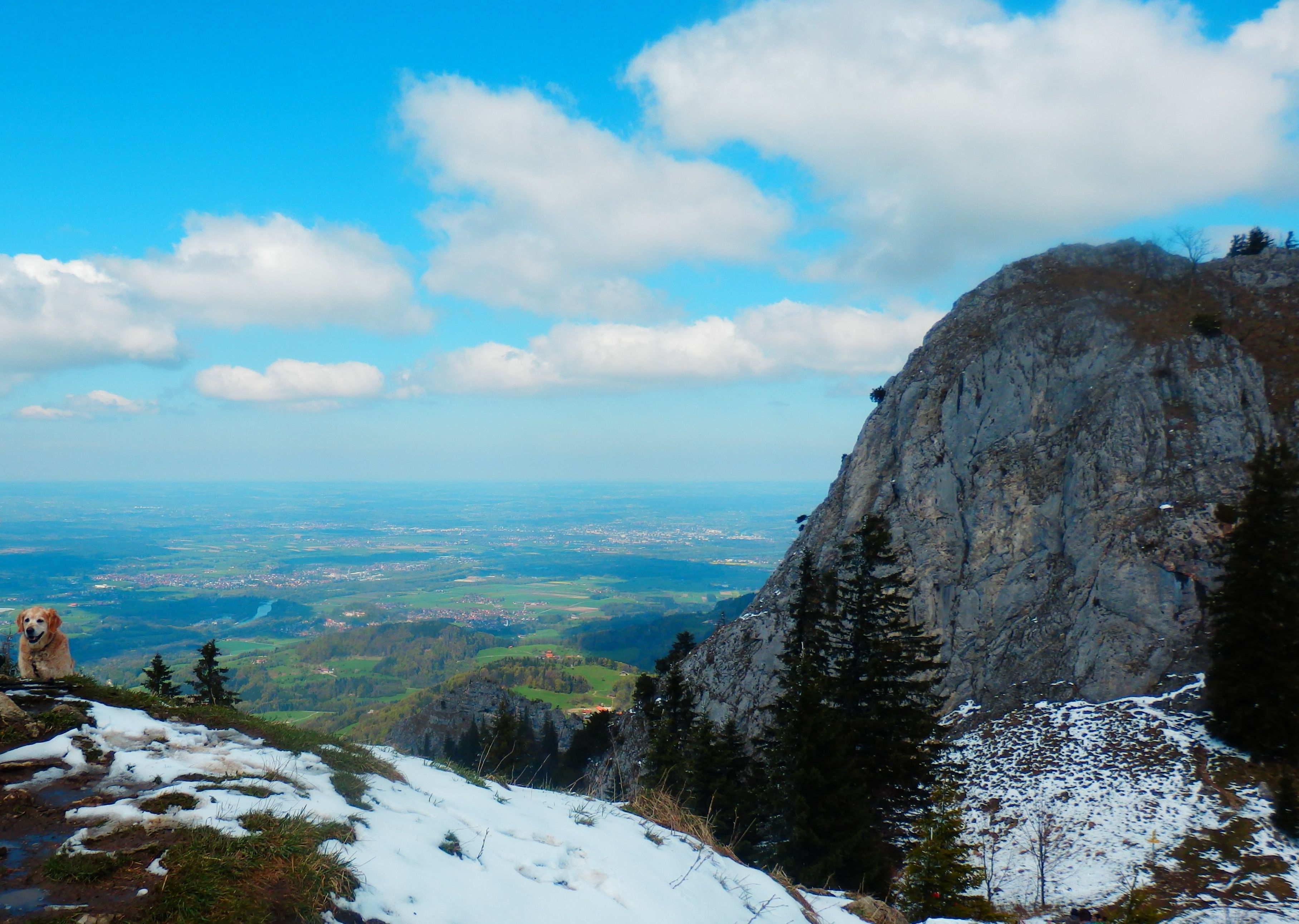 Heuberggipfel mit Hund