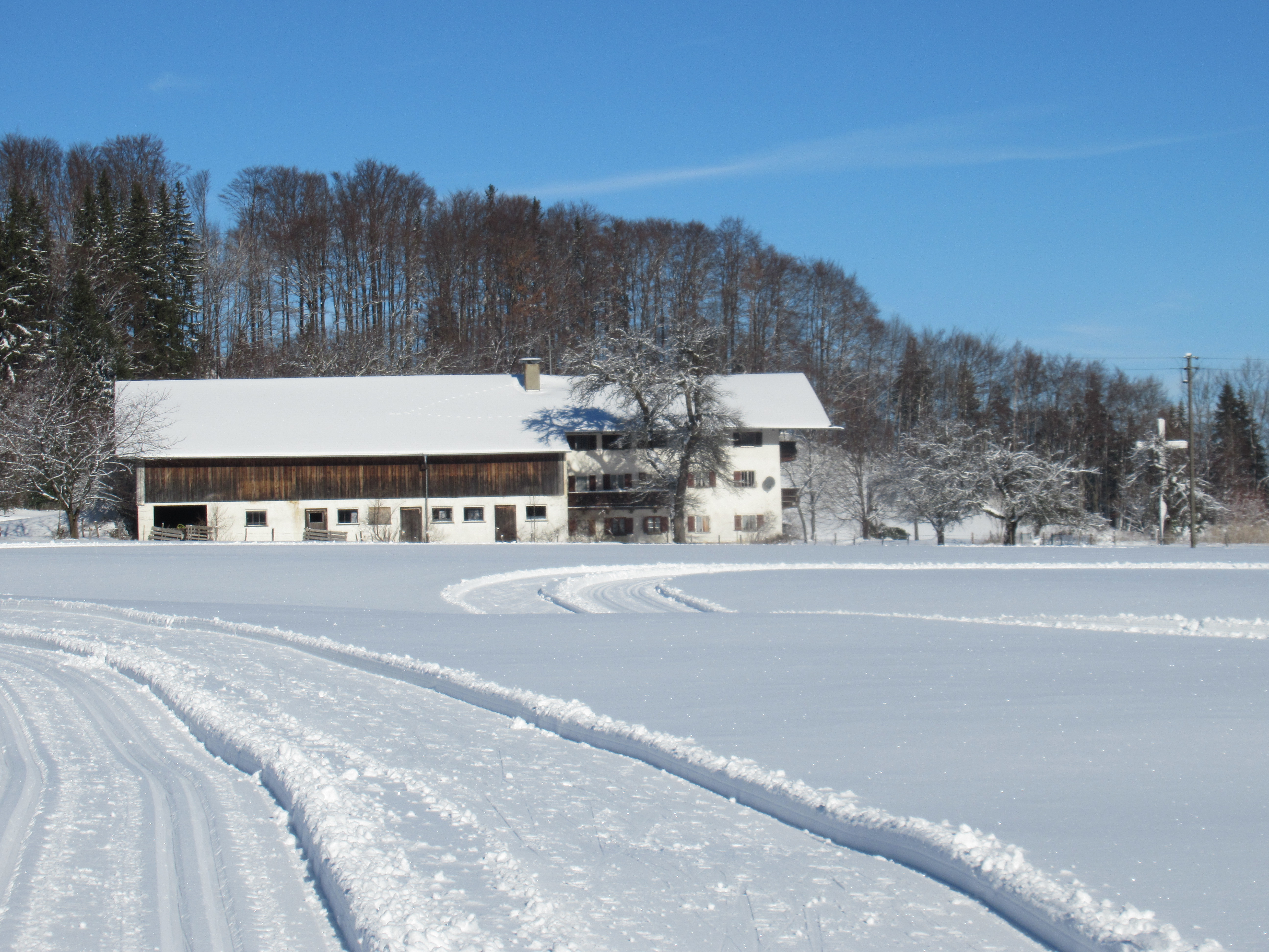 auf der Loipe in Hintergschwendt