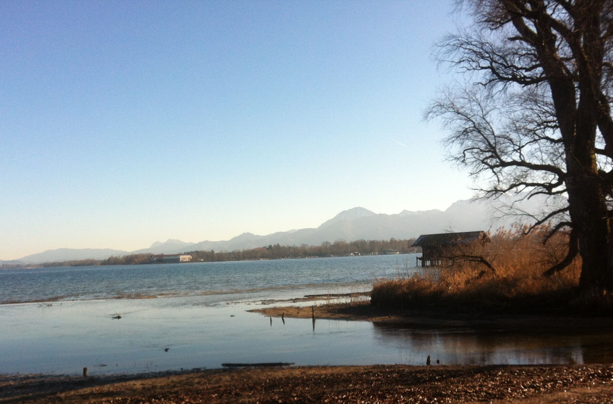 am Chiemsee