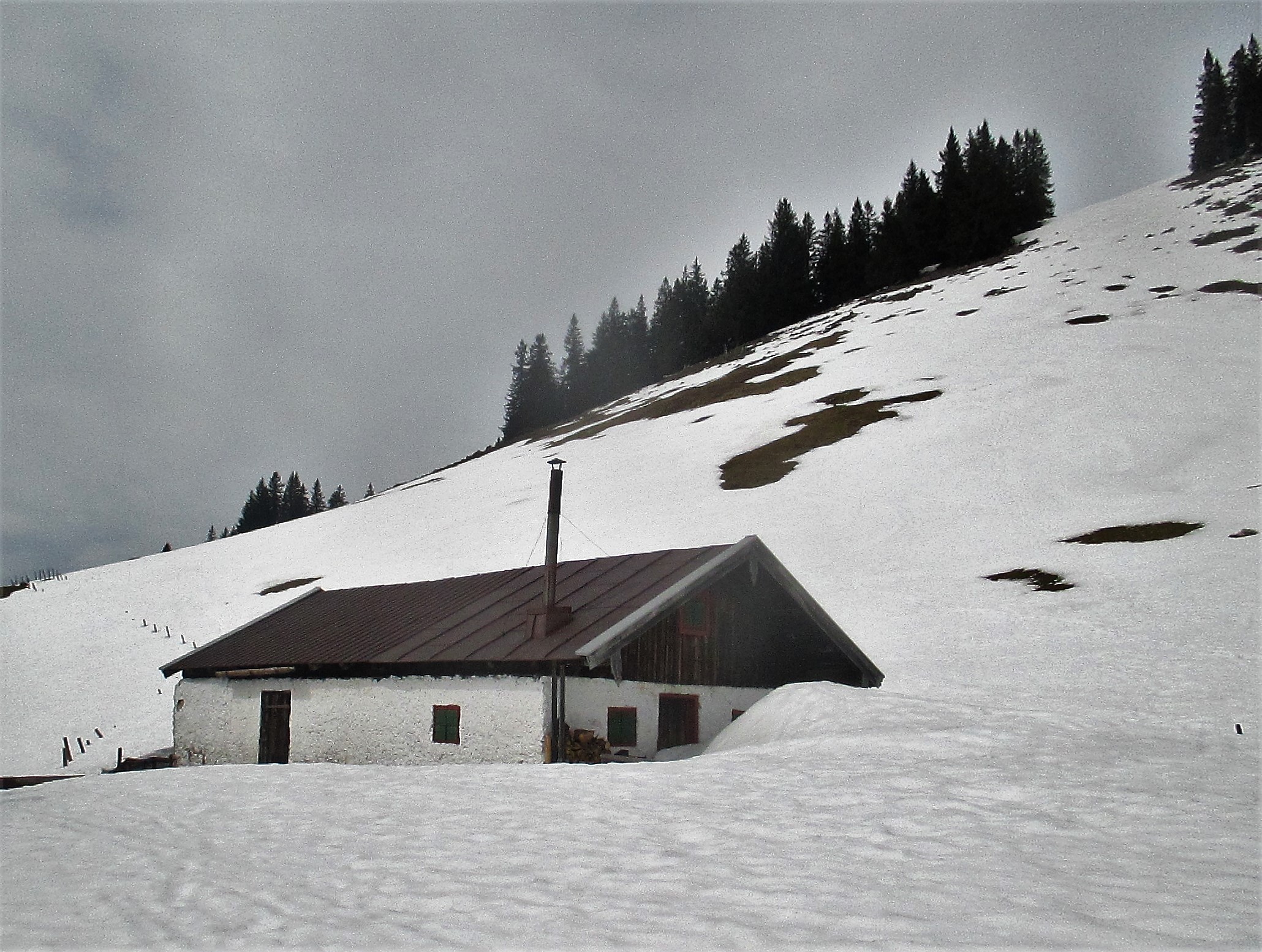 die Aueralm