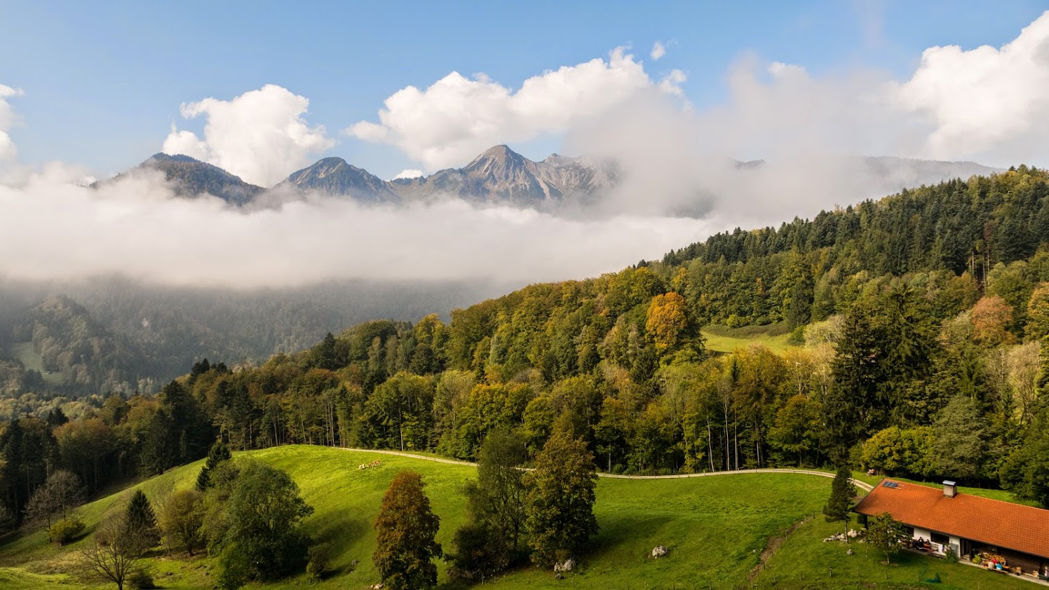 die Bäckeralm