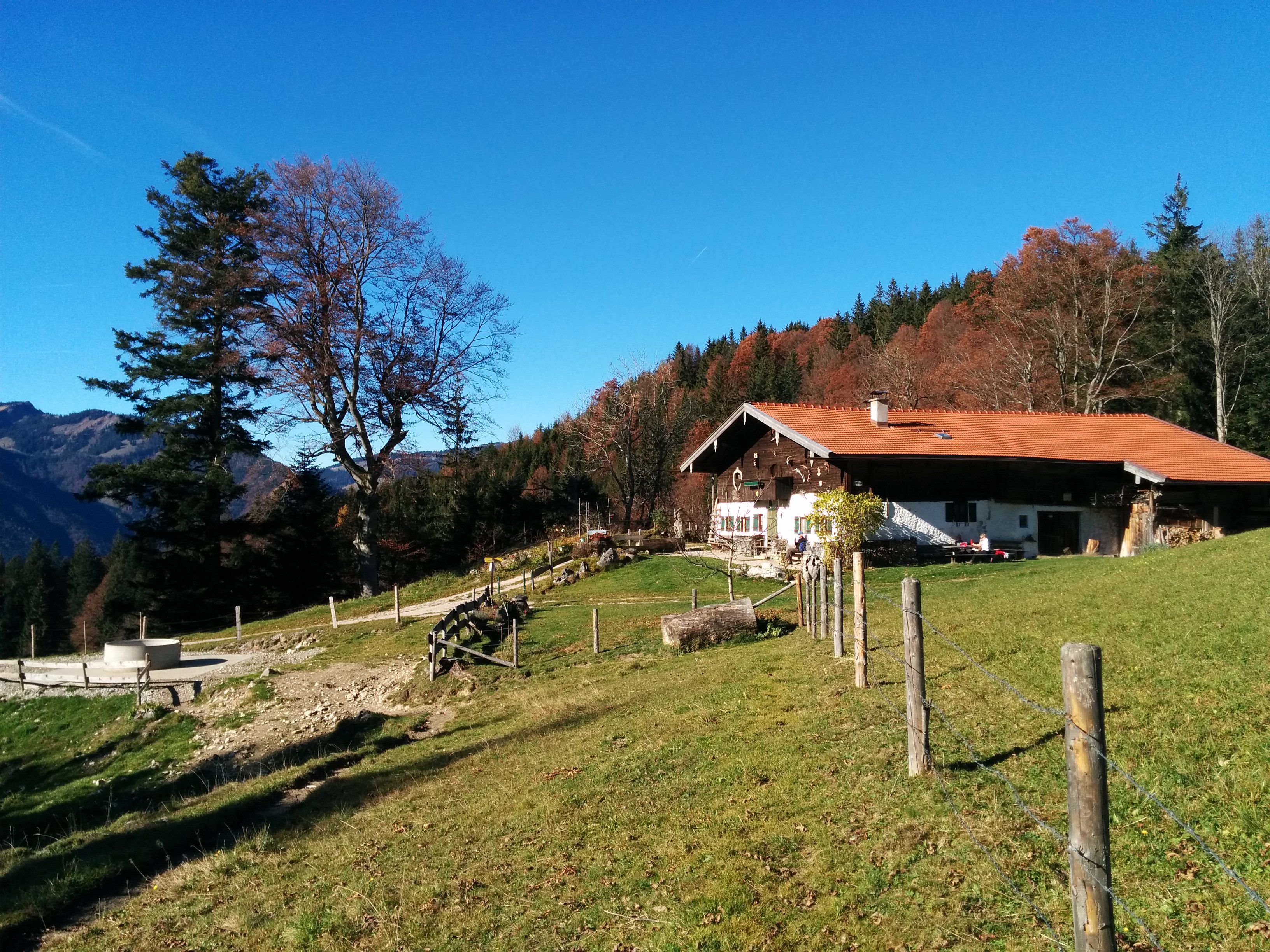 die Chiemhauseralm