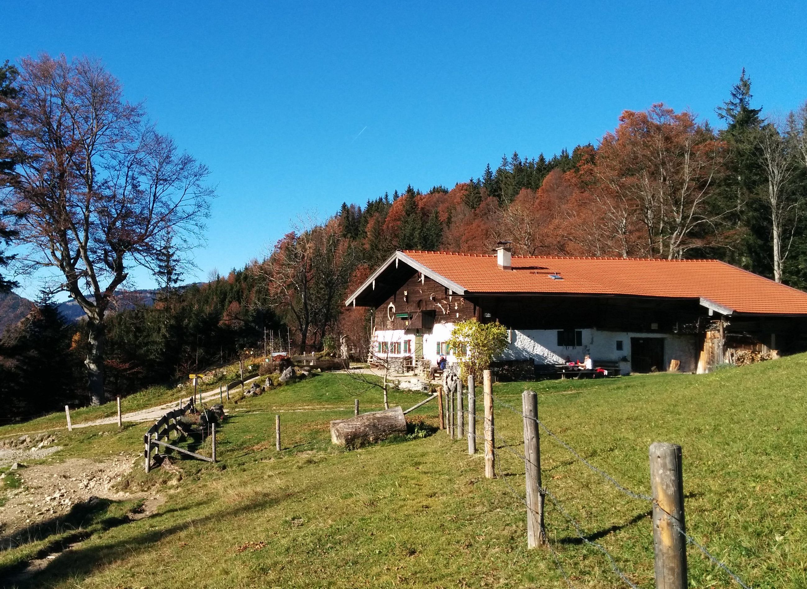 auf der Chiemhauseralm