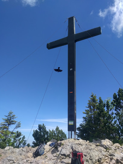 Gipfelkreuz mit Dohle