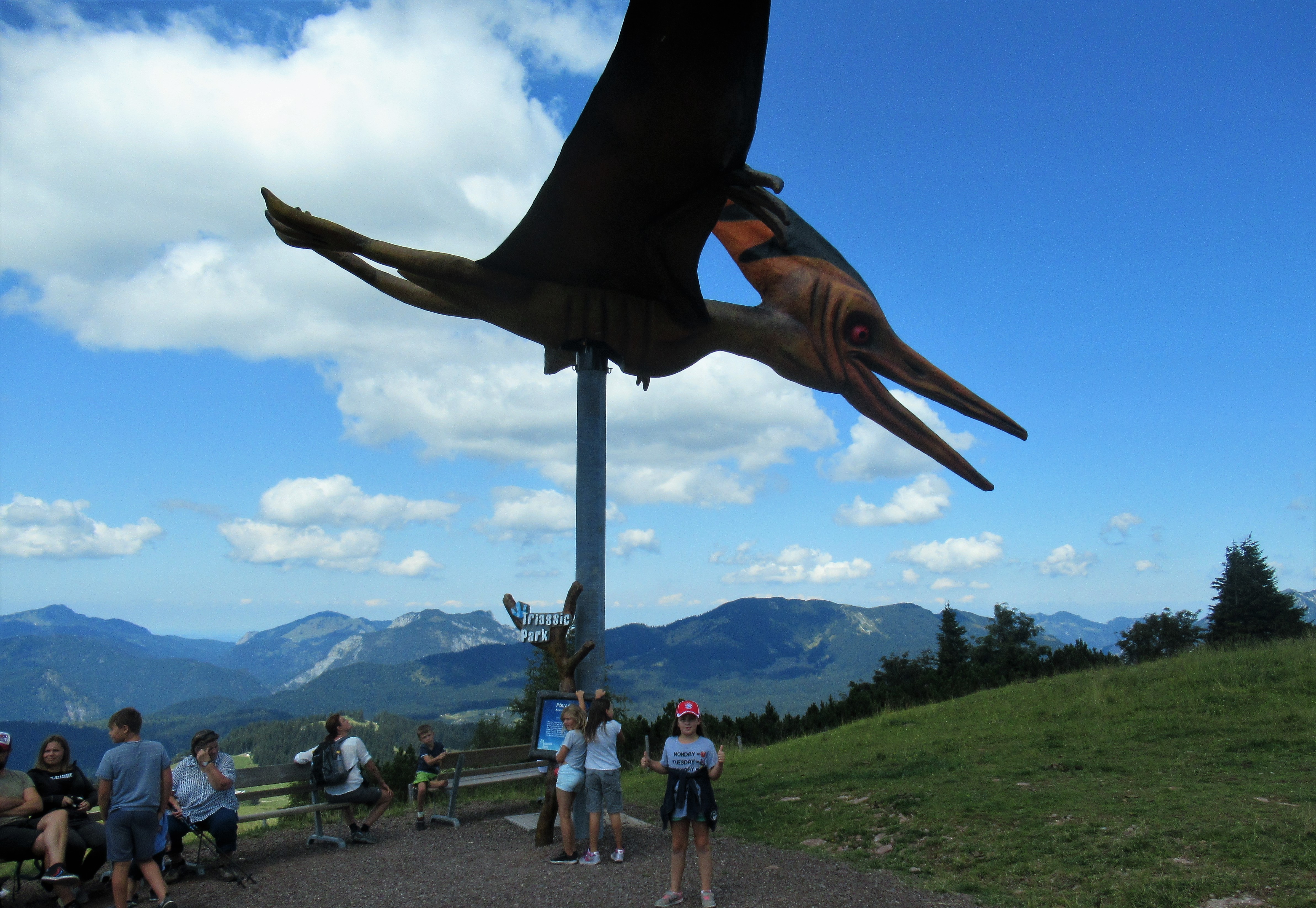 beim Flugsaurier im Triassic Park Steinplatte