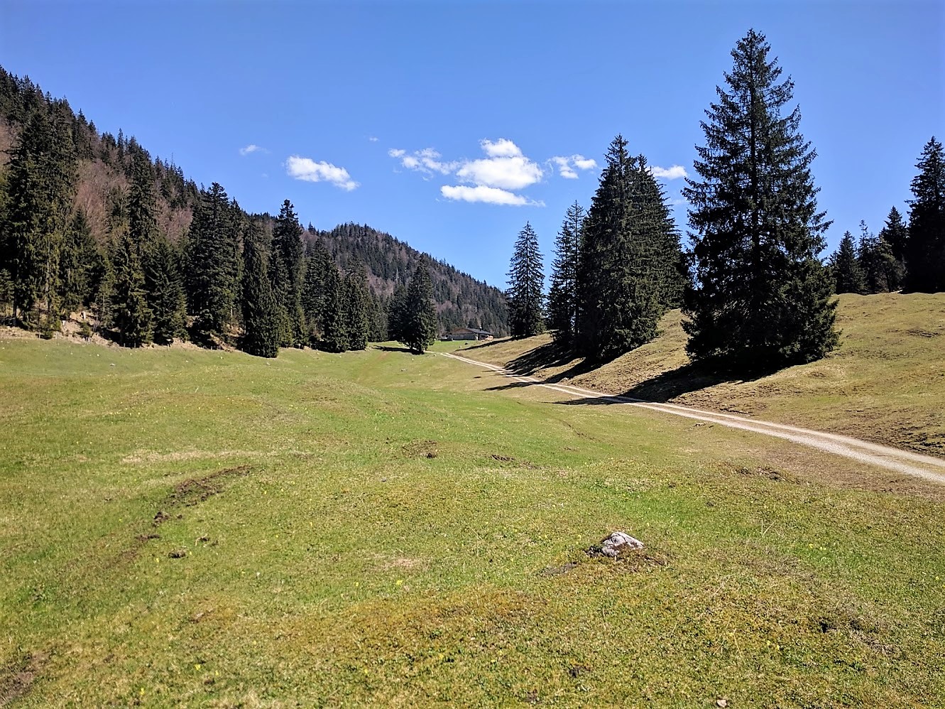 auf der Gräbenalm