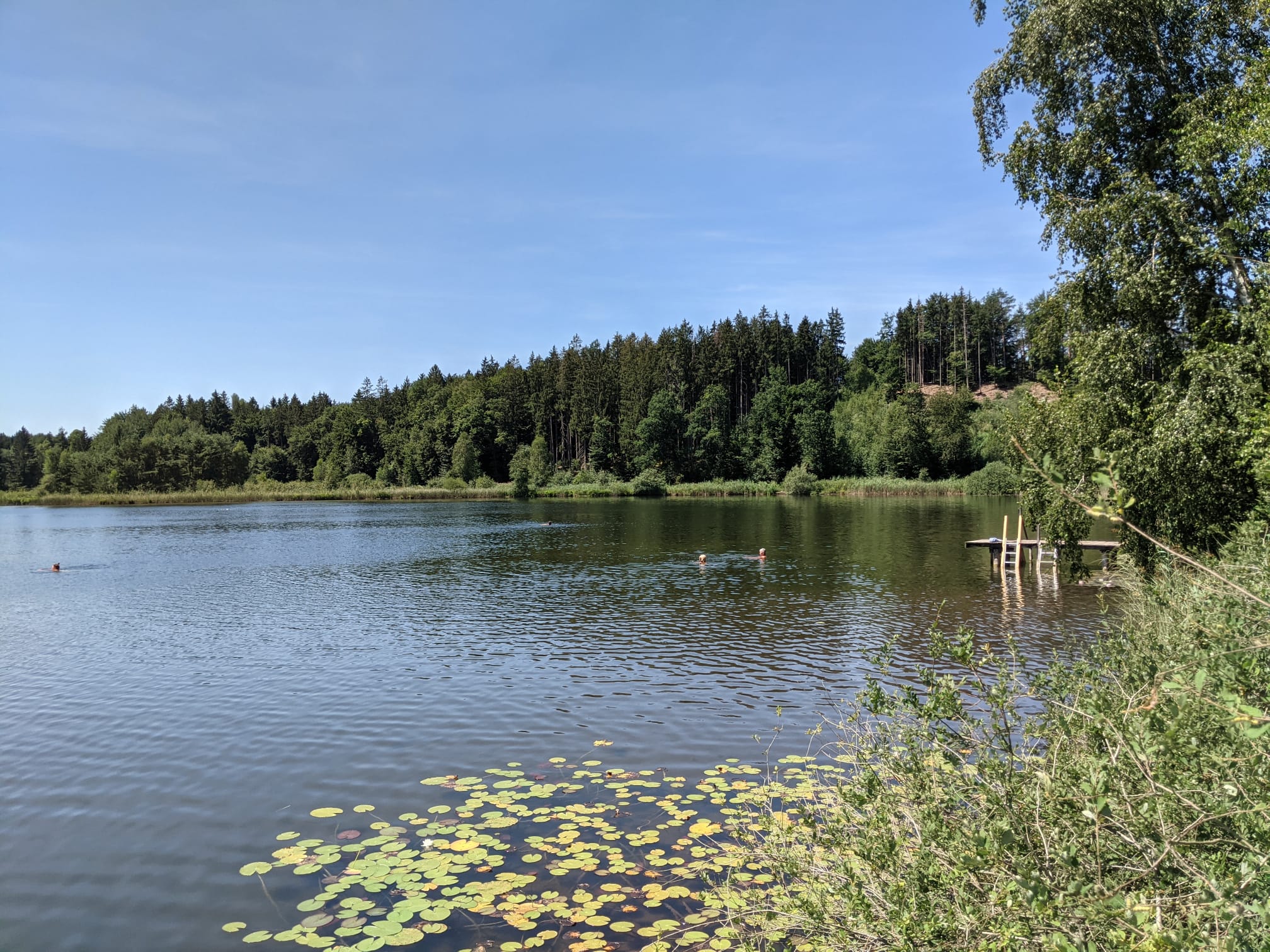 der Griessee