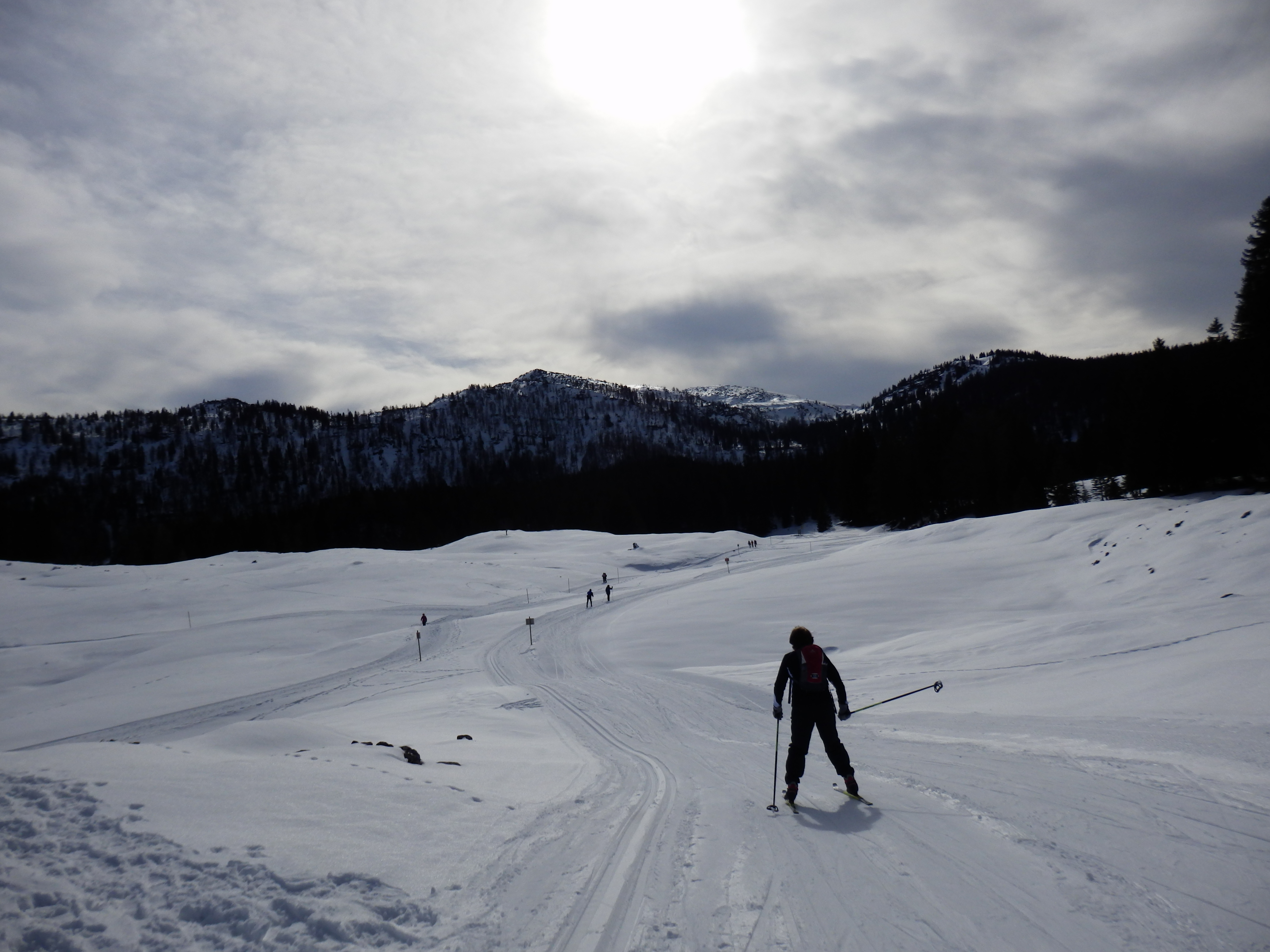 auf der Loipe auf der Hemmersuppenalm