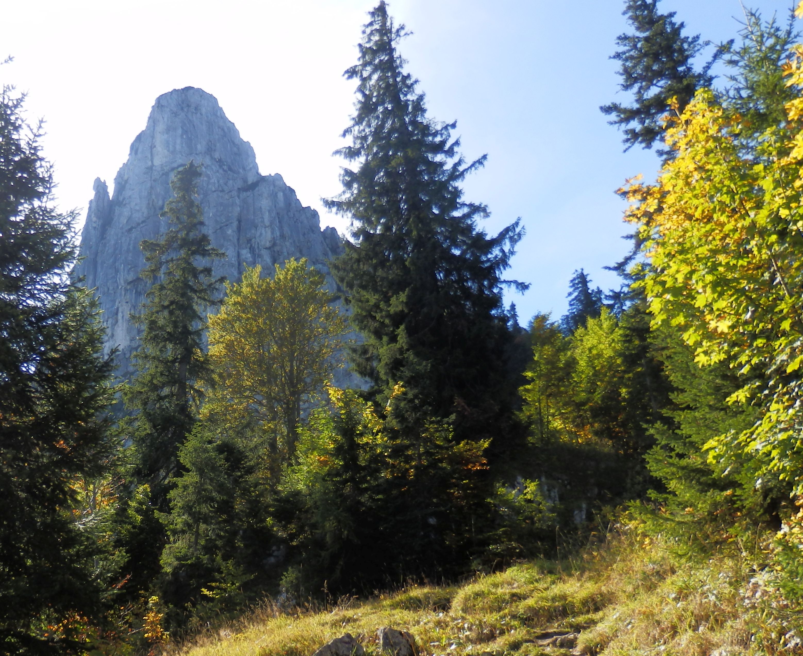 die Hörndlwand