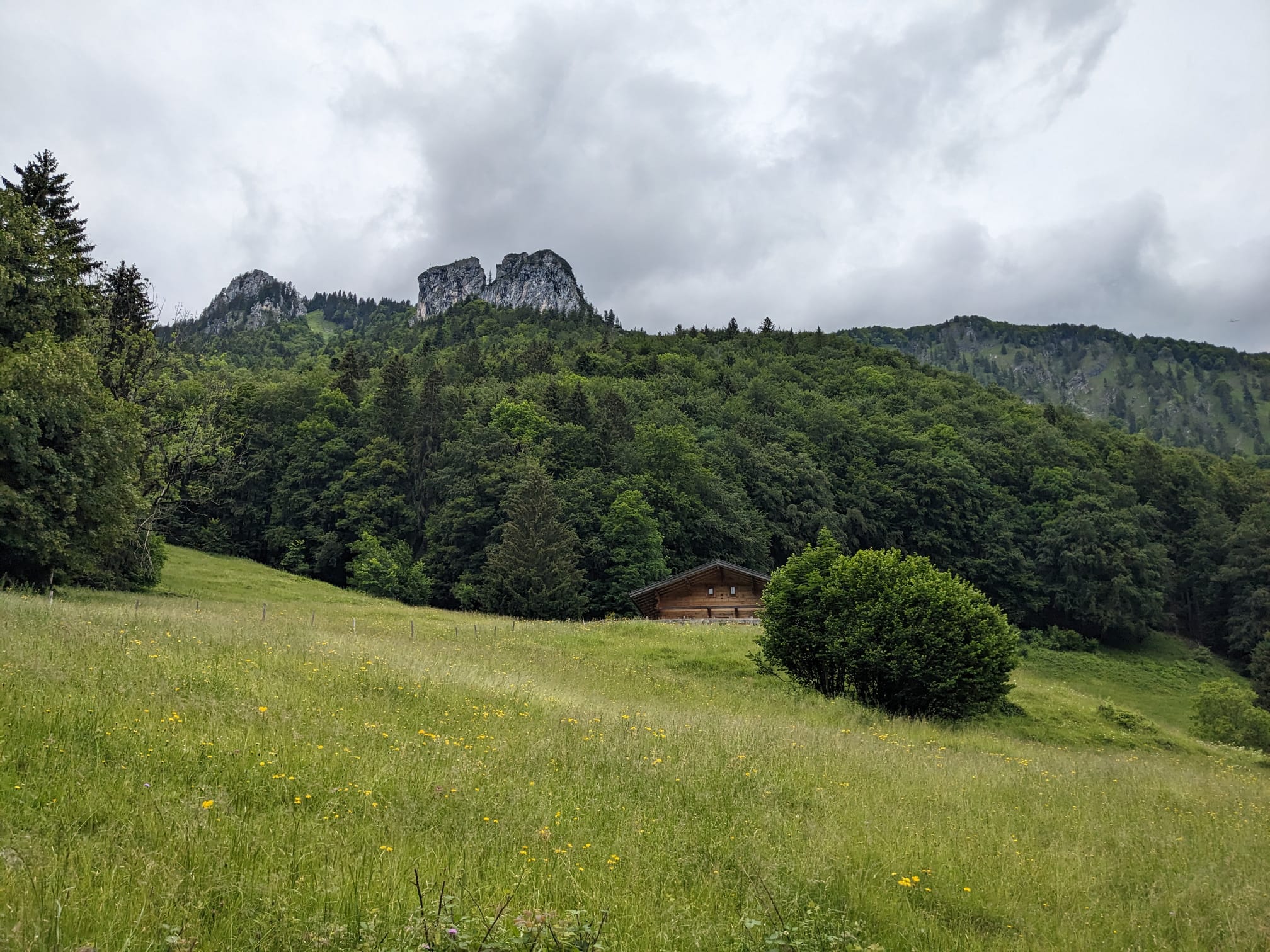 die Huberalm unterhalb der Zwillingswand