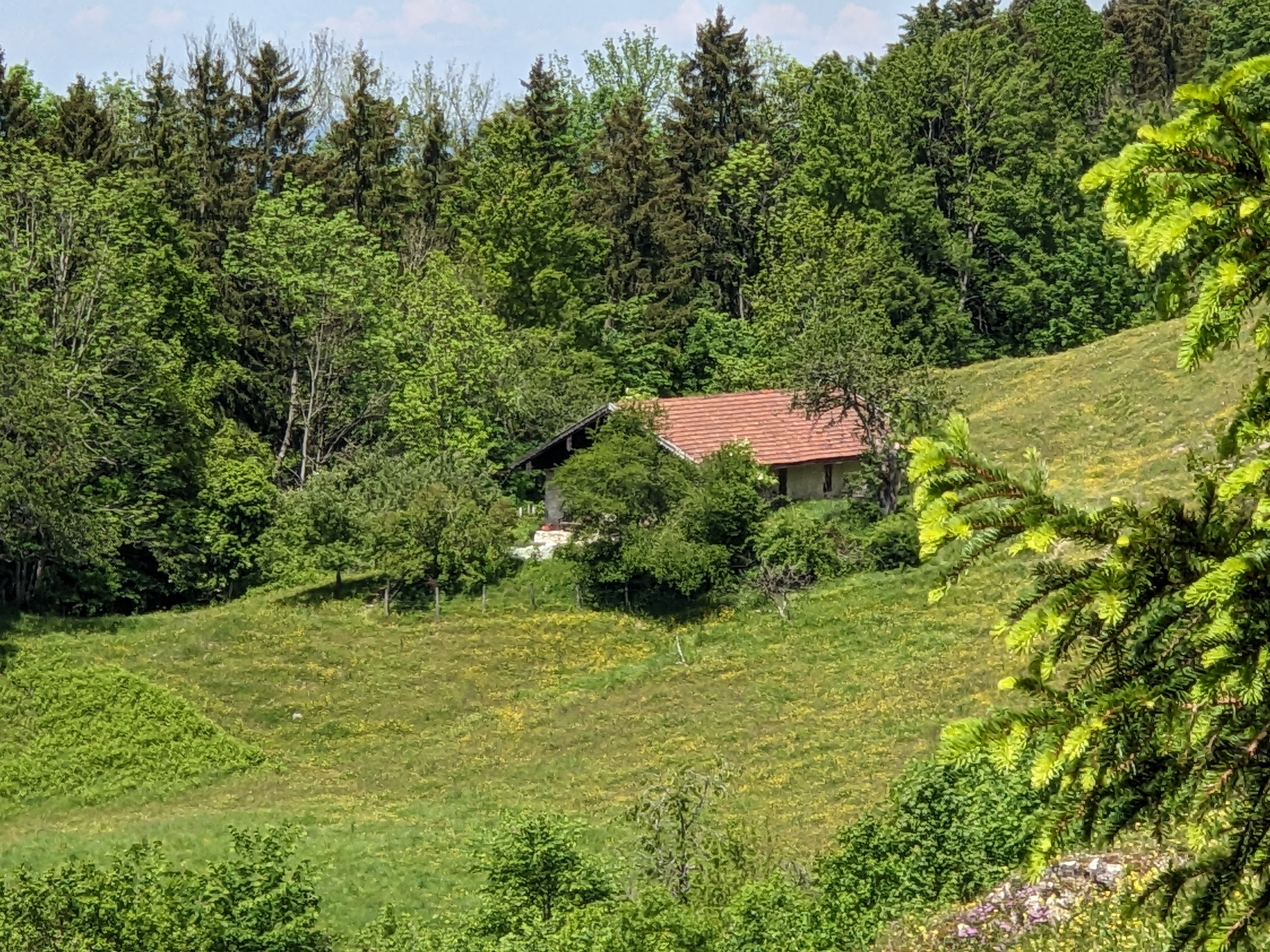 die Neugrabenalm