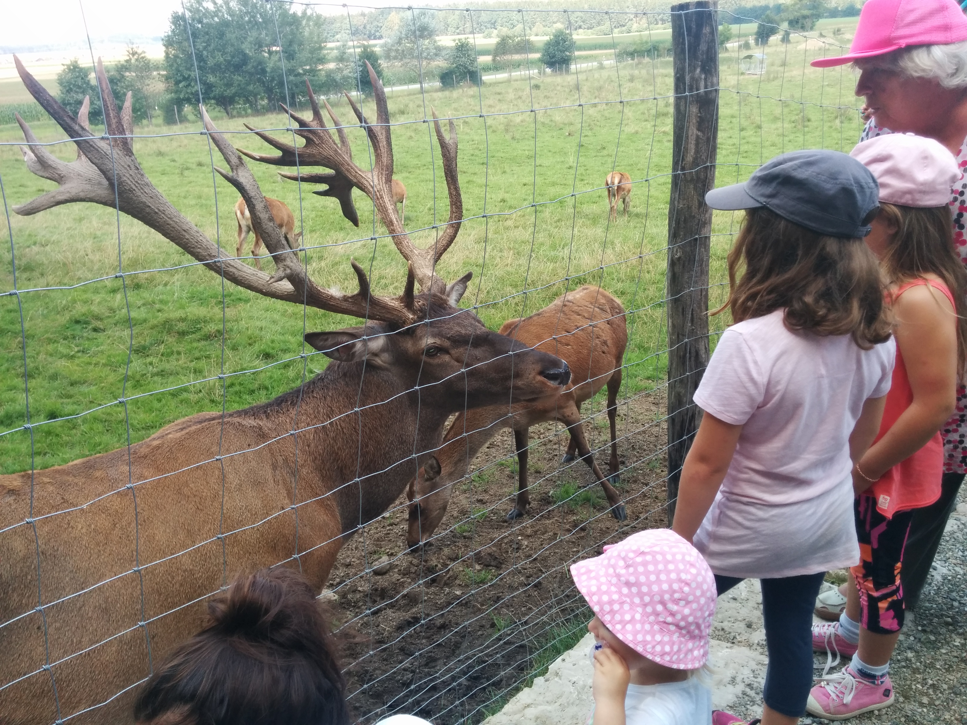 im Freizeitpark Oberreith