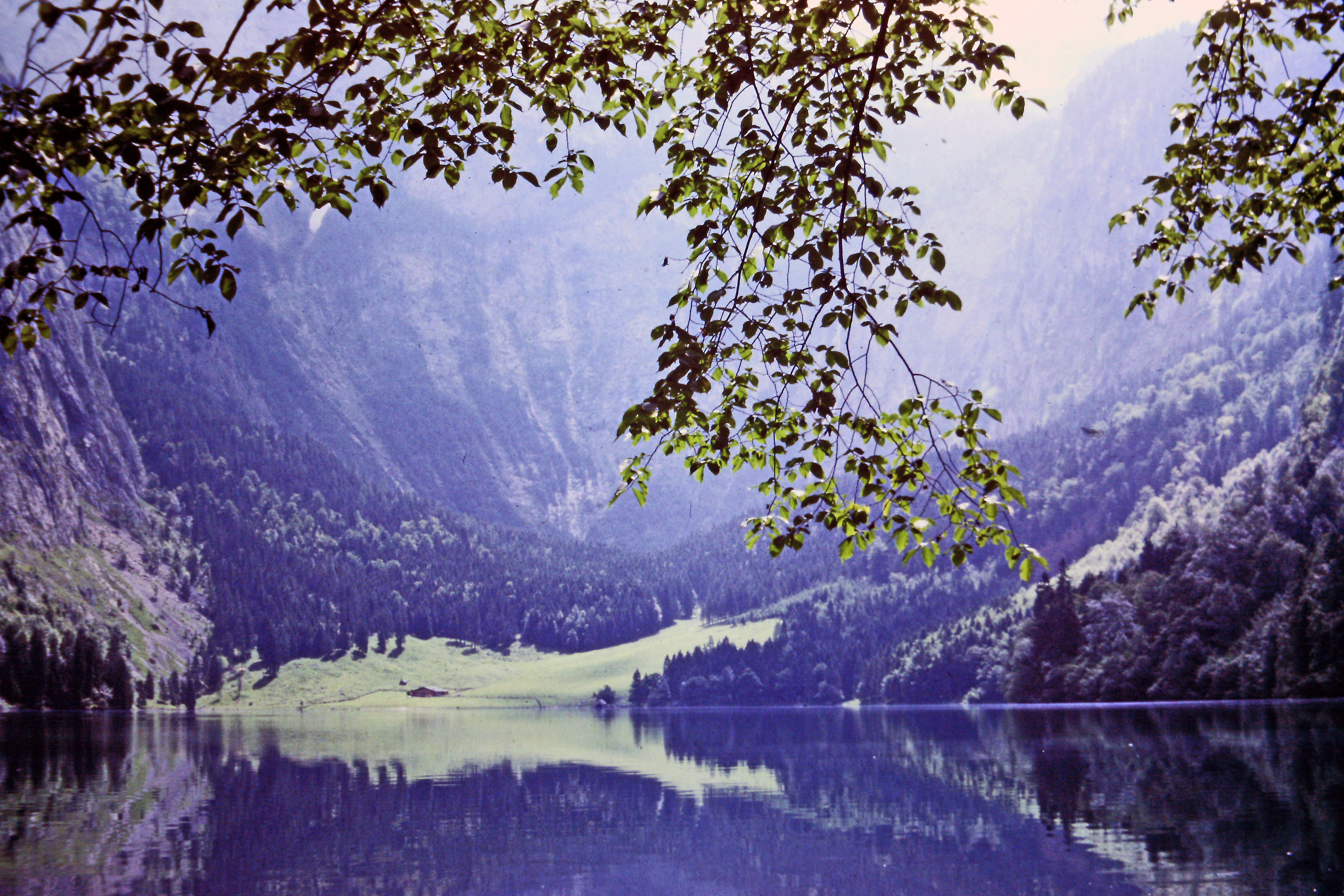 der Obersee mit der Fischunkelalm