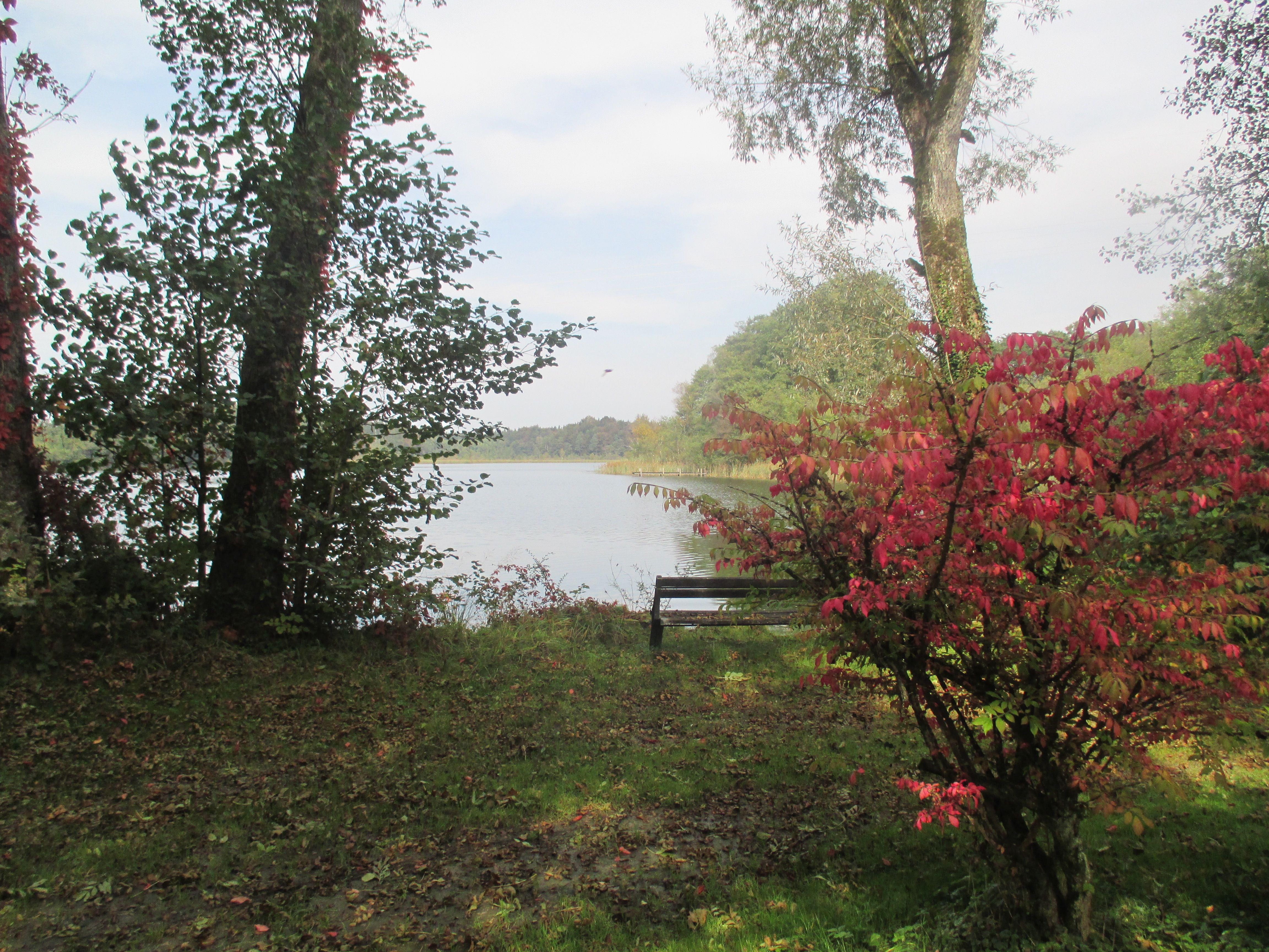 am Schloßsee im Park von Schloss Hartmannsberg