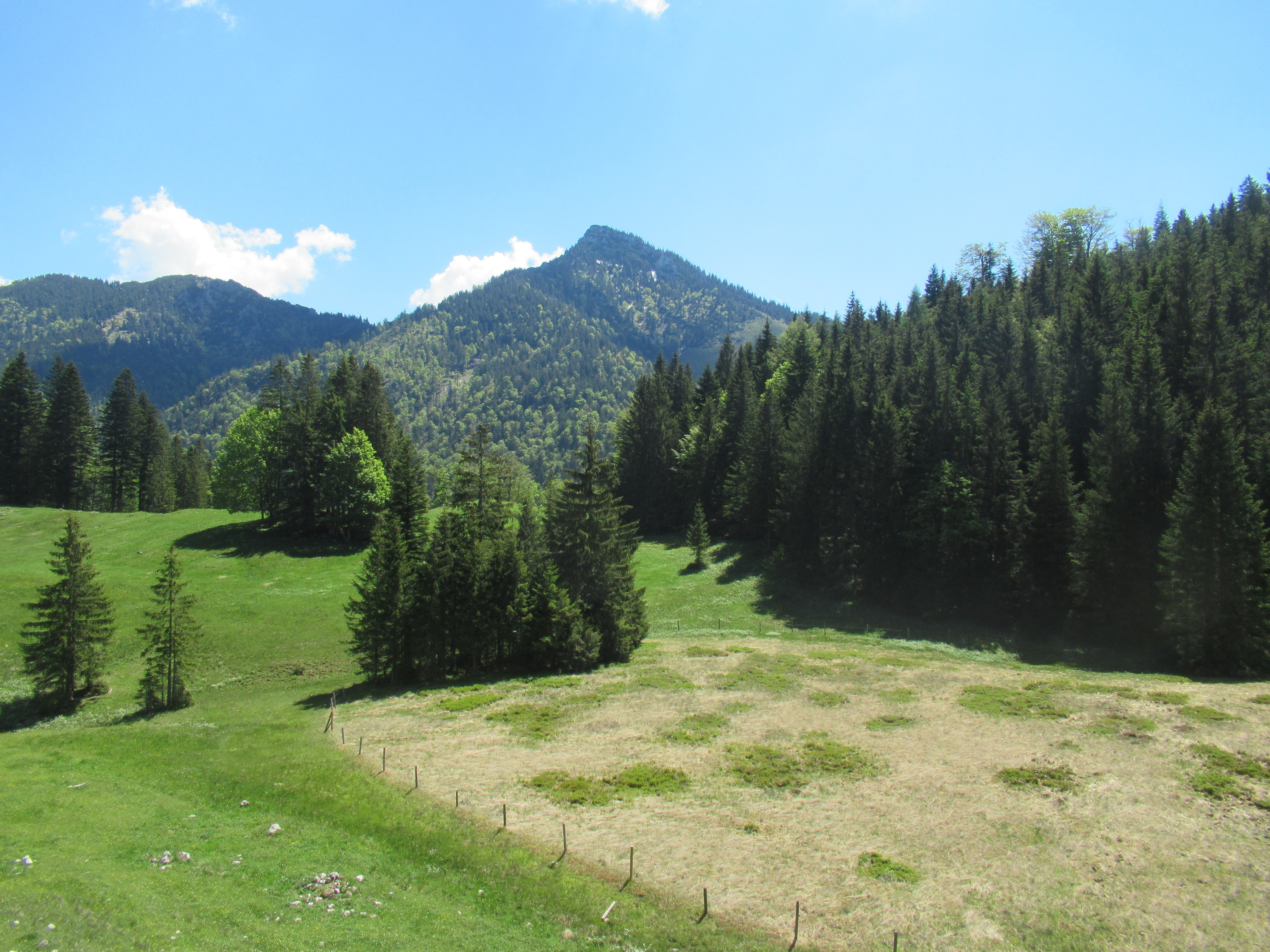 die Schwarzries mit dem Spitzstein