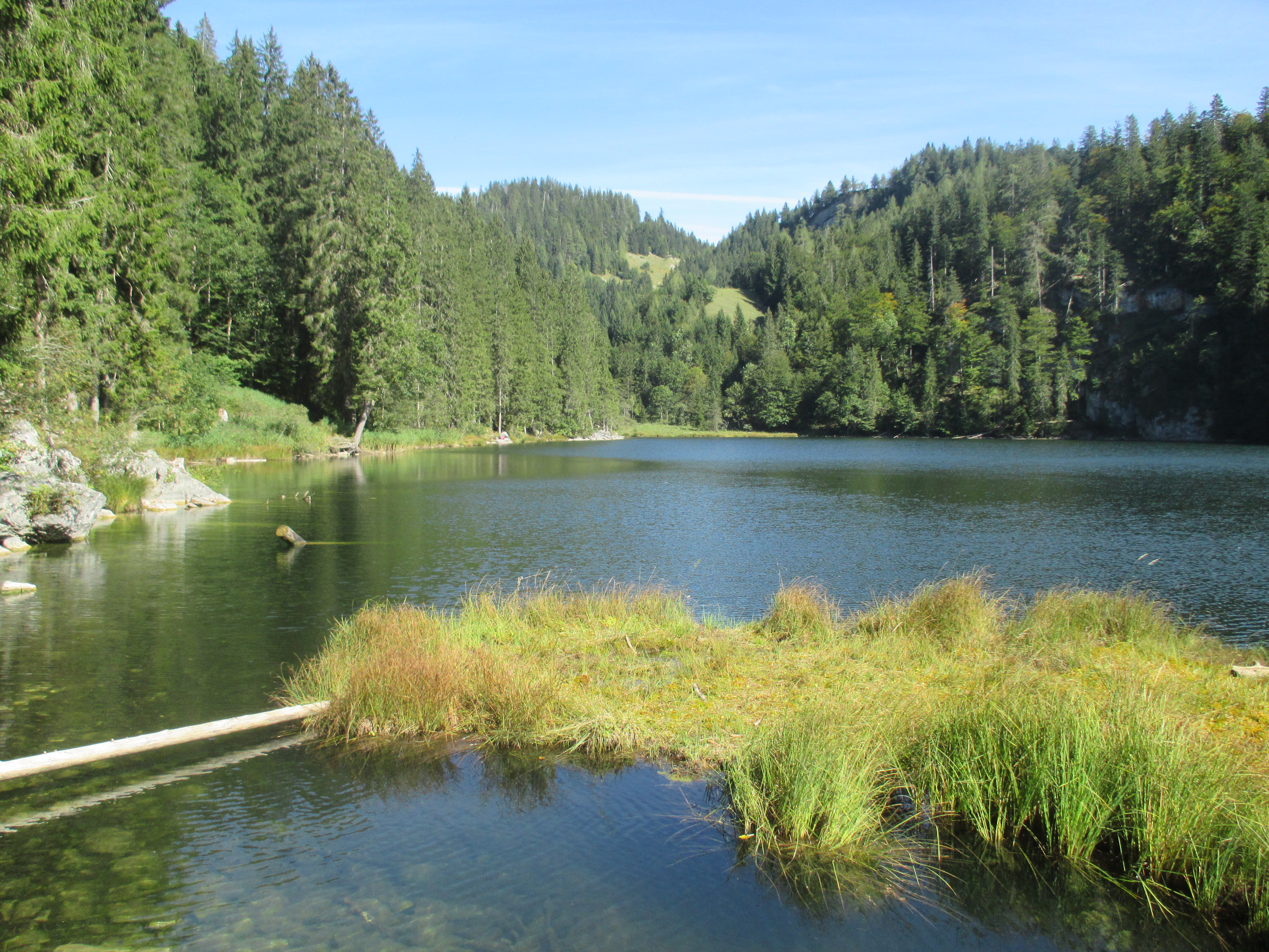 der Taubensee