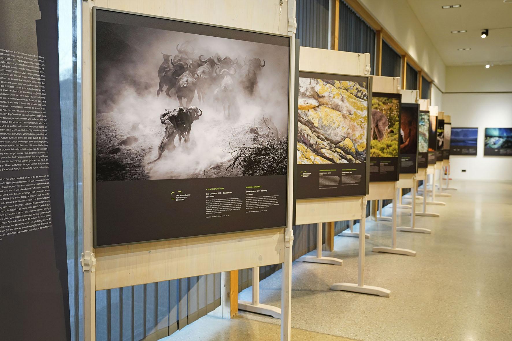 Ausstellung Naturfotograf des Jahres und Ausstellung Yellowstone Ausstellung Naturfotograf des Jahres und Ausstellung Yellowstone