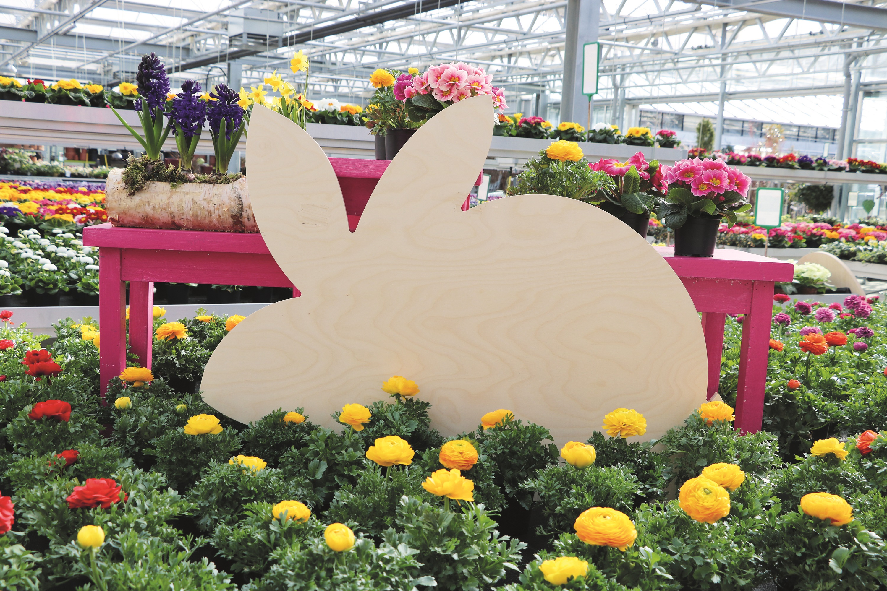 Ostern ist nicht Weihnachten – aber über eine kleine Aufmerksamkeit freuen sich Familie und Freunde allemal. Der „Priener Gutschein - Priener Diridari“ ist eine sinnvolle Überraschung im Osternest und Besitzer eines Gutscheins finden sicherlich in einer der zahlreichen Priener Akzeptanzstellen ein passendes Ostergeschenk. Bildrechte: Markt Prien a. Chiemsee Ostern ist nicht Weihnachten – aber über eine kleine Aufmerksamkeit freuen sich Familie und Freunde allemal. Der „Priener Gutschein - Priener Diridari“ ist eine sinnvolle Überraschung im Osternest und Besitzer eines Gutscheins finden sicherlich in einer der zahlreichen Priener Akzeptanzstellen ein passendes Ostergeschenk. Bildrechte: Markt Prien a. Chiemsee